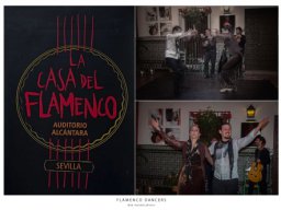 flamenco2